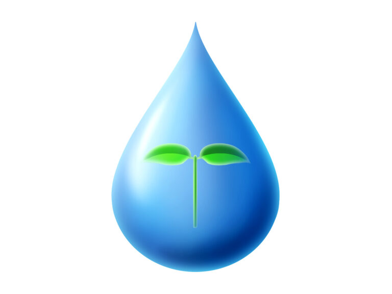 小学３年生さん！適性検査問題の基礎はこんな感じです！